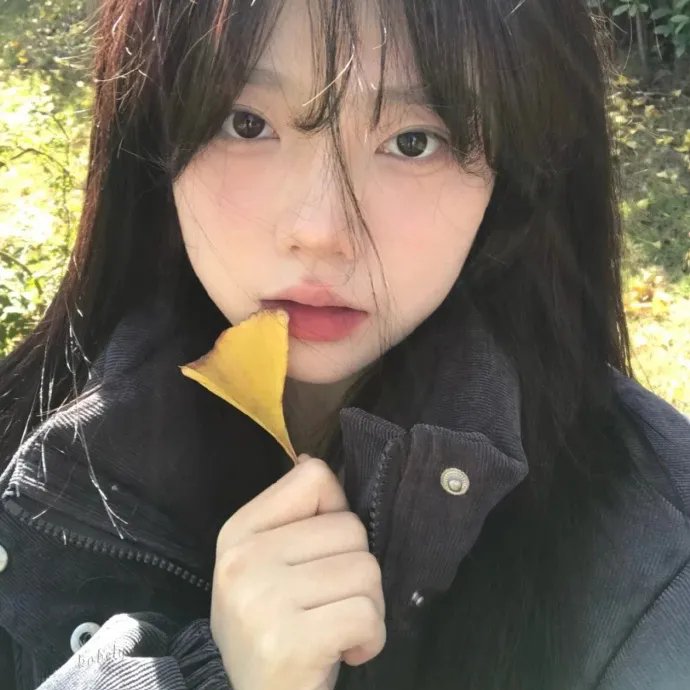 阑尾